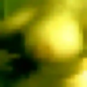 Profil de Edith à Saint-Cyprien (35 ans) - rencontre coquine sans inscription