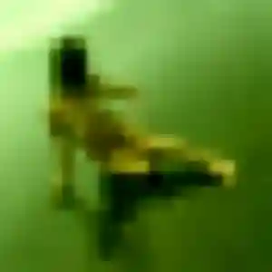 Photo de Isabella à Saint-Georges-d'Orques (28 ans) - rencontre coquine anonyme