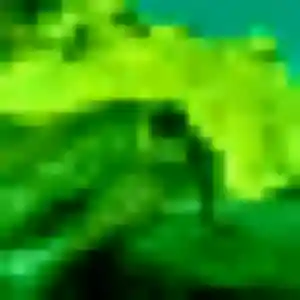 Xaviere de Saint-Martin-de-Seignanx, 44 ans - rencontre coquine en toute liberté