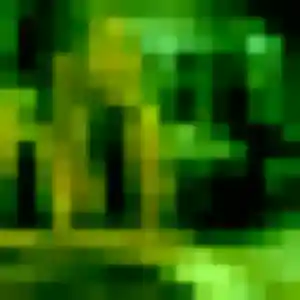 Irene, 21 ans, veut un rencontre coquine à Saint-Palais-sur-Mer