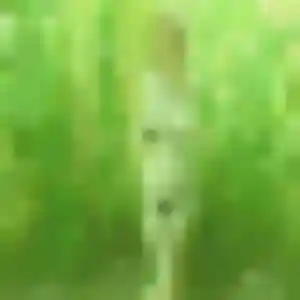 Janine de Saint-Pierre-d'Irube, 23 ans - rencontre coquine sans prise de tête