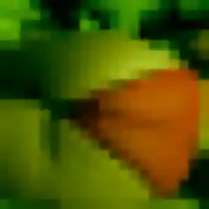 Lisette de Saint-Pierre-d'Irube, 41 ans - rencontre coquine sans prise de tête