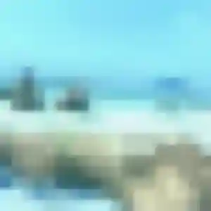 Rencontre Colombe, 42 ans à Saint-Savin en t'inscrivant