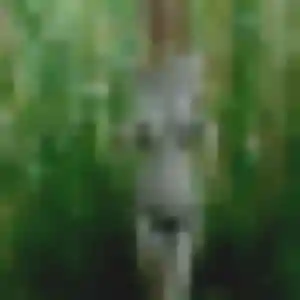 Gwendoline, 20 ans, disponible à Saint-Yrieix-sur-Charente pour un rencontre coquine