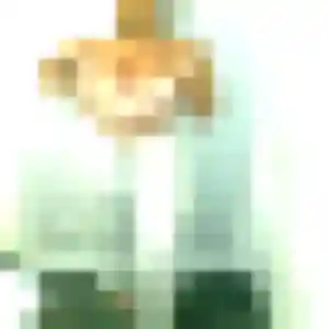 Hermine, 26 ans, dispo pour rencontre coquine à Saint-Yrieix-sur-Charente