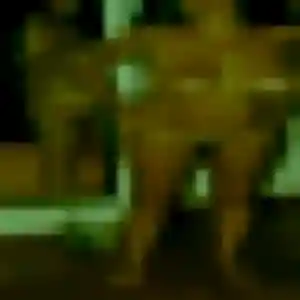 Lisette, fille de 41 ans cherche rencontre coquine à Sainte-Eulalie