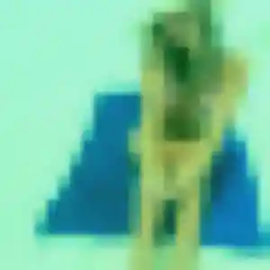 Elodie (44 ans) à Sainte-Marie-de-Ré propose une rencontre ce soir