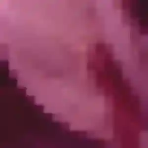 Photo de Severine à Salles-d'Aude (31 ans) - rencontre coquine discret