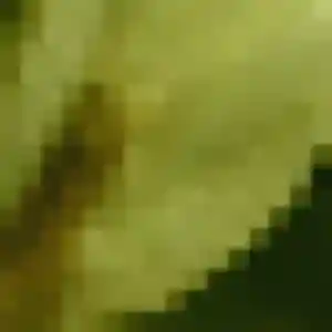 Photo privée de Marie-Ange, 23 ans à Surgères - rencontre sans lendemain