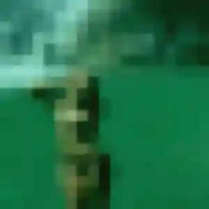 Contacte Flavia, 43 ans à Thézan-lès-Béziers en privé