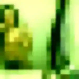 rencontre coquine à Tosse : profil de Sarah, 24 ans - inscription gratuite