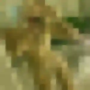 Idalina, 34 ans, cherche un rencontre coquine à Verdun-sur-Garonne