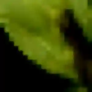 Morgane de Vouillé, 32 ans - rencontre coquine sans lendemain